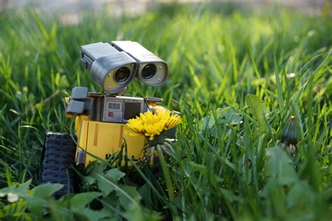 [100+] Wall E Pictures | Wallpapers.com