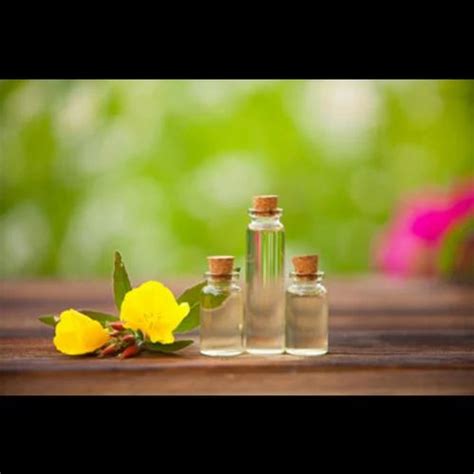 Evening Primrose Oil Trader - Wholesaler / Distributor from Surat