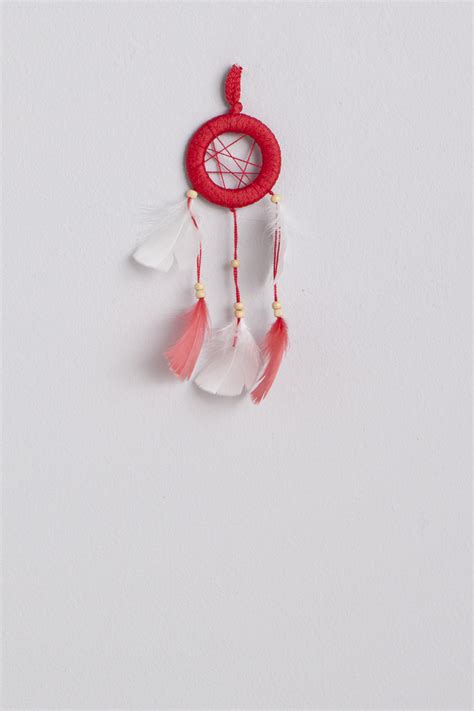 Mini Atrapasuenos 的图像结果