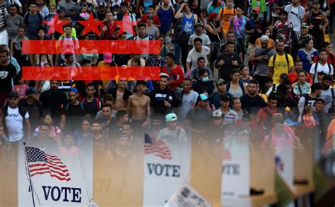 Alien Amnesty 的图像结果