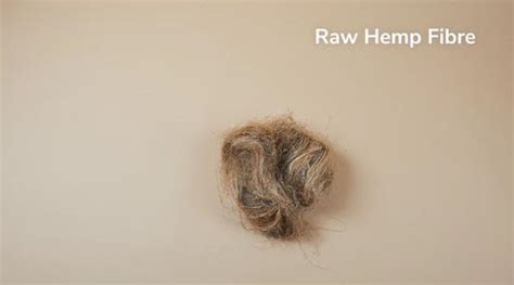 Plant To Apparel : How Hemp Plant Is Made Into Sustainable Clothing – B ...