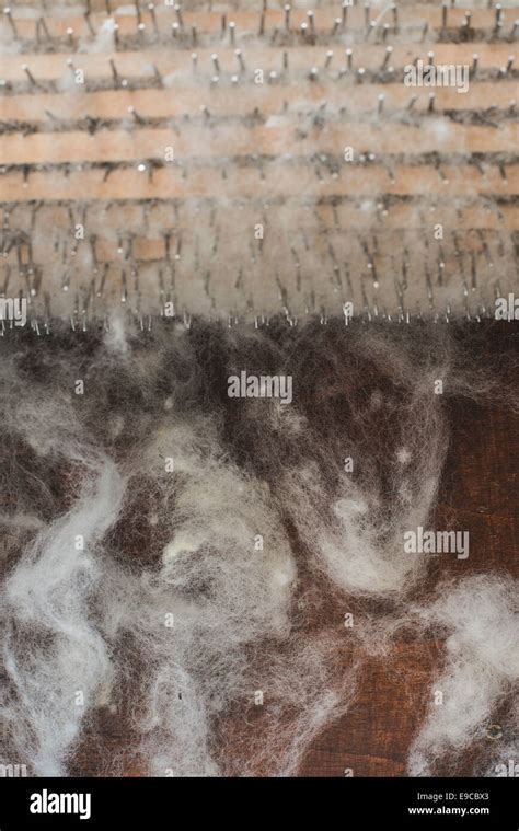 Image result for Processing of Wool Class 7