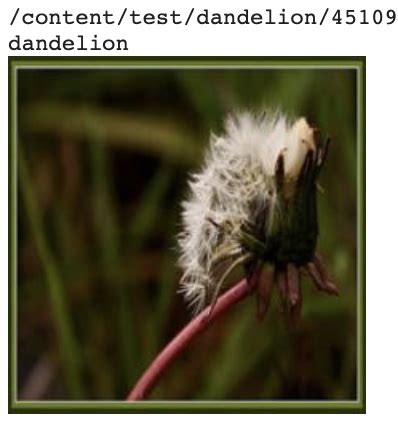 Image result for Resnet34 Architecture for Image Classification Using Numpy