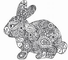 ausmalbilder hasen kostenlos hase zum ausdrucken einzigartig bilder hasen brilliant ausmalbilder hasen kostenlos hase zum ausdrucken einzigartig bilder hasen brilliant