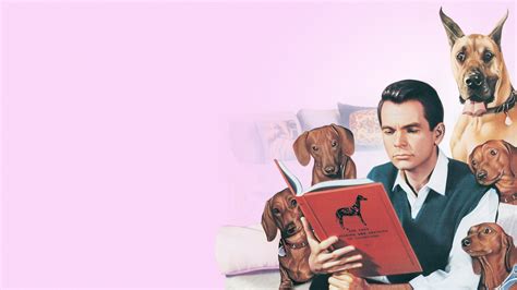 The Ugly Dachshund (1966) - Backdrops — The Movie Database (TMDB)