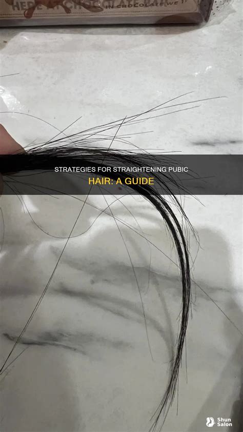 Strategies For Straightening Pubic Hair: A Guide | ShunSalon