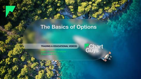 Image result for Basic Options Chart
