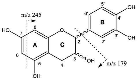 Hybrid Nanoparticles of Proanthocyanidins from Uncaria tomentosa Leaves ...