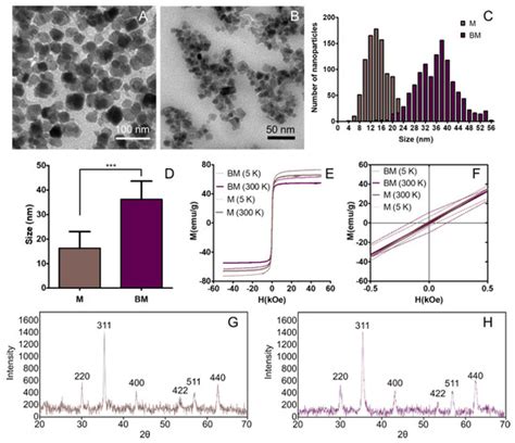 Polymers | Special Issue : Nanoparticle Functionalization by Polymers ...