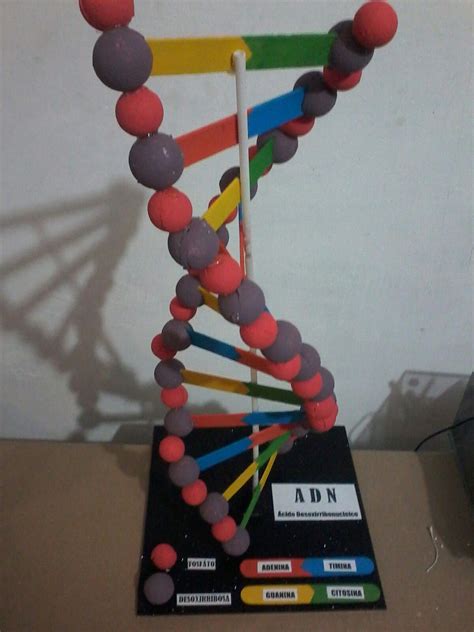 Image result for DNA DIY