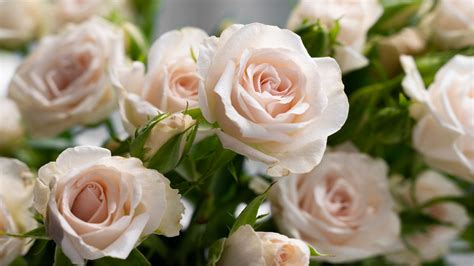 The UK's top 10 most popular funeral songs