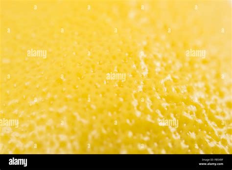 Image result for Lemon Yallow Texture