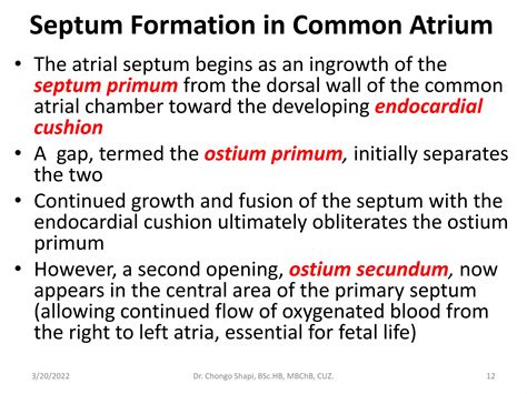 Image result for Heart Development PDF