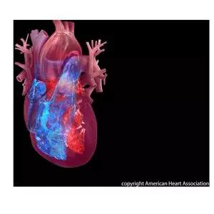 Thoracic endovascular aortic repair may not reduce mortality in ...