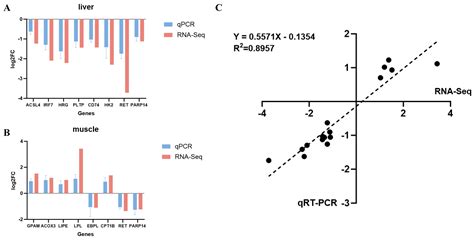 Integrated Transcriptomic Analysis of Liver and Muscle Tissues Reveals ...
