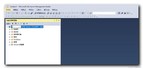 SQL Server Management Studio 的图像结果