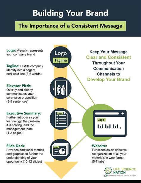 Brand Development Examples 的图像结果