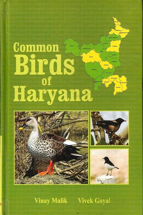 Common Birds of Haryana [Hardcover] Vinay Malik and Vivek Goyal : Vinay ...