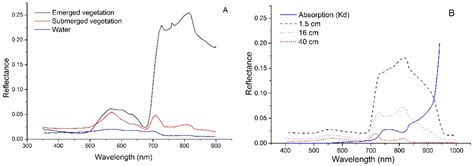 A New Vegetation Index to Detect Periodically Submerged Mangrove Forest ...