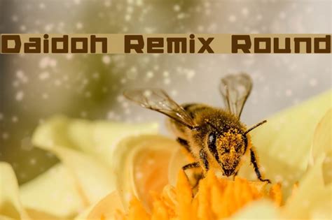 Daidoh Remix Round Font - FFonts.net