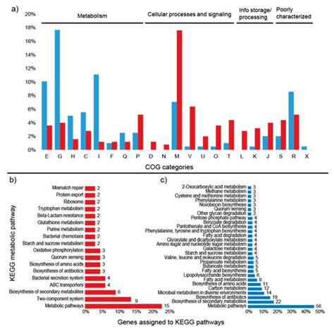 Responses of Acidobacteria Granulicella sp. WH15 to High Carbon ...