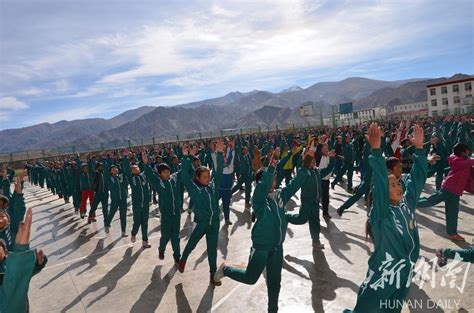 2022年西藏高中班（校）各批次最低提档控制线