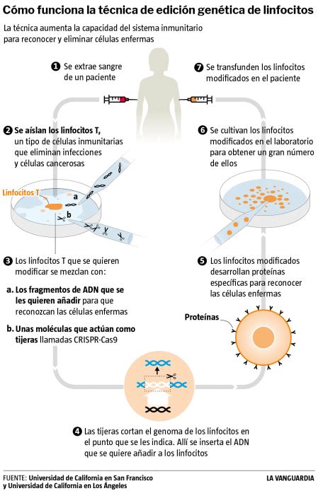 Dieciséis pacientes de cáncer, tratados con una innovadora edición ...