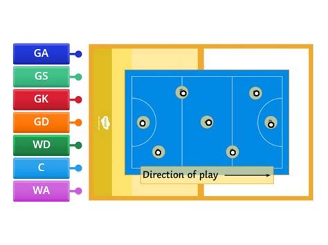 Netball Court Layout 的图像结果