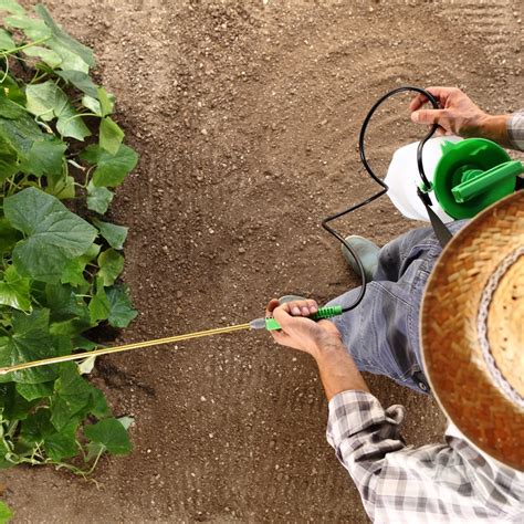 Homemade Weed Killer Recipes | ThriftyFun