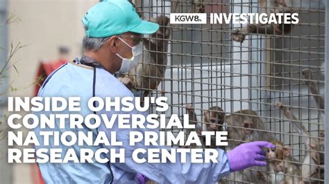 Inside OHSU's controversial national primate research center | kgw.com