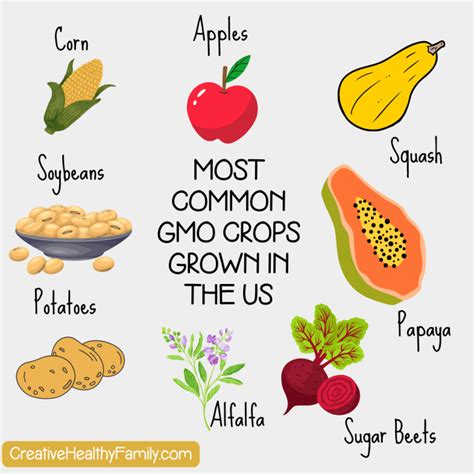 Organic Plu Produce for Organic 的图像结果