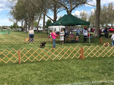 Tri-City Cluster Dog Show, Columbia Park, Kennewick, WA, Kennewick ...