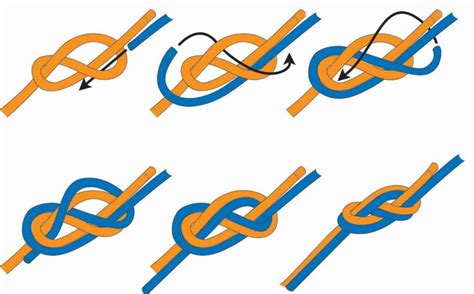 Image result for Knot Tying Tutorial Figure Eight