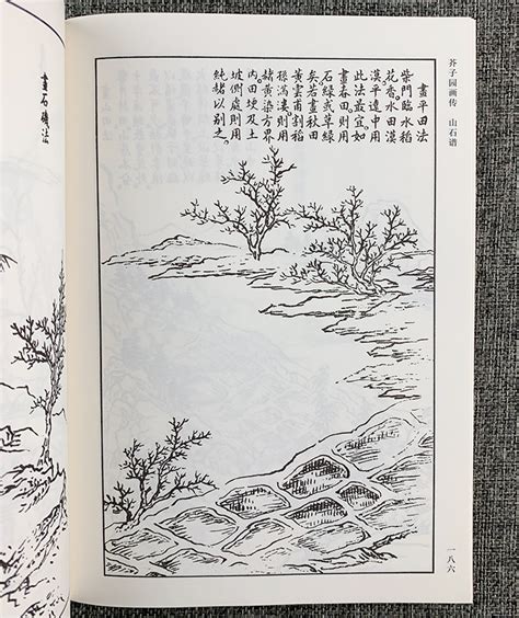 芥子园画传（三函十三册）(天津古籍出版社)简介、价格-国学子部书籍-国学梦