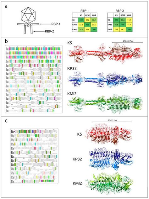 IJMS | Special Issue : Bacteriophage—Molecular Studies 5.0
