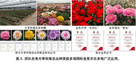 中国农业大学新闻网 学校要闻 我校鲜花品控团队助推我国主要花卉种质创新与供应链技术升级