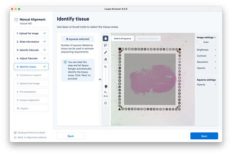 Visium HD Manual Alignment - 10x Genomics