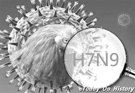 2013年3月31日上海首次发现H7N9型禽流感 - 历史上的今天