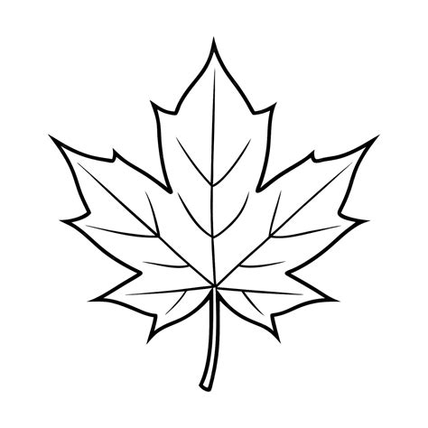 A outline of Maple Leaves clip art vector design on white background ...