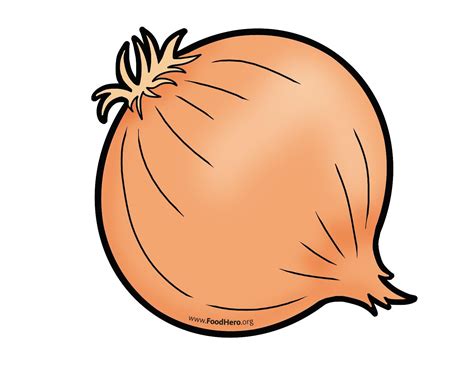 Onion colored illustration #onion | Vegetable cartoon, Animal outline ...