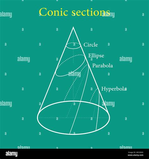 Types of conic sections. Circle, Ellipse, Parabola and Hyperbola ...