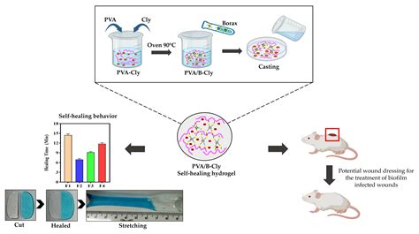 Development of Clindamycin-Releasing Polyvinyl Alcohol Hydrogel with Self-Healing Property for ...