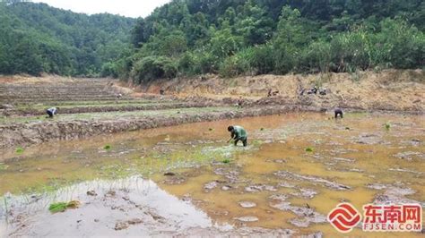 德阳：建好“天府粮仓” 守牢粮食生产“命根子”|资讯频道_51网