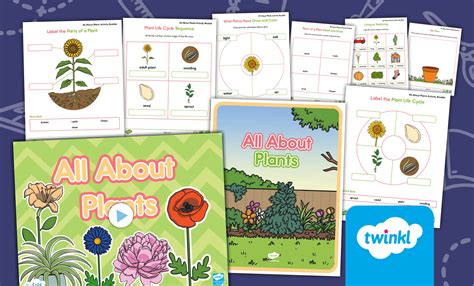 Image result for Easy Science Lesson