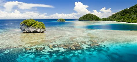 Raja Ampat Diving | Untouched Coral Reefs | Papua Diving