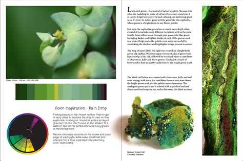 Creative Color Photography 的图像结果