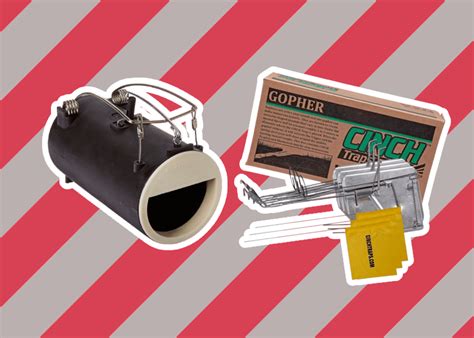 Image result for Gopher Traps