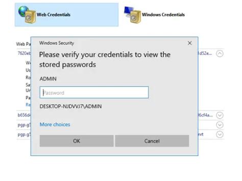 Retrieve Passwords On Computer 的图像结果