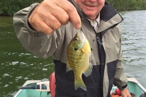 Obits and Death Notices - The Bemidji Pioneer is your #1 source for ...