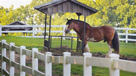 Wood Structures Design 的图像结果